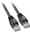 100' Cat-5e Network Cable