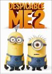 Despicable Me 2 (DVD)