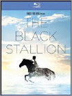 The Black Stallion (Blu-ray Disc)
