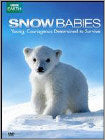 Snow Babies (DVD)