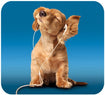 Deluxe Music Dog Mouse Pad - Blue/Tan