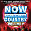 Now That's What I Call Country, Vol. 7 - Various - CD