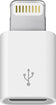 Lightning-to-Micro USB Adapter